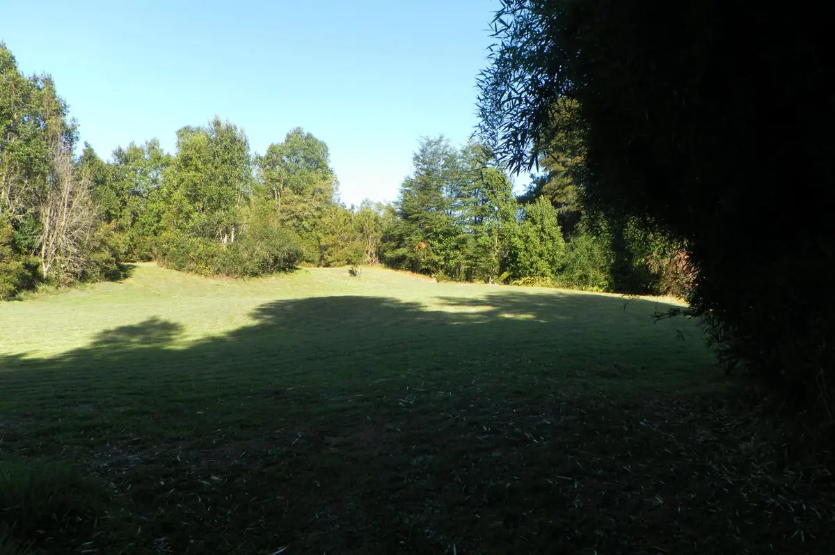 Área verde