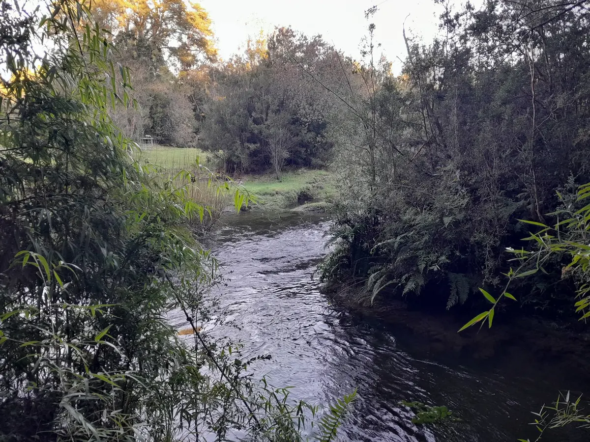 Río junto al entorno del recinto