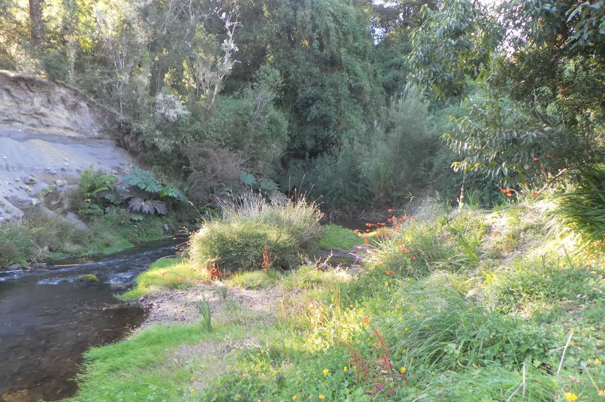 Sendero junto al río en el entorno natural del recinto